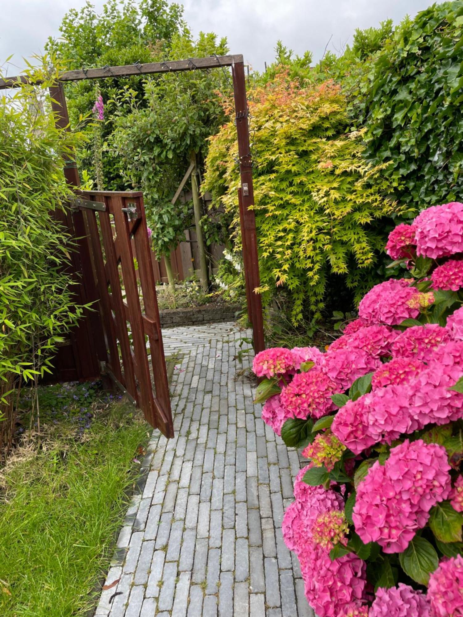 Bed & Breakfast Danina Sassenheim Exterior foto